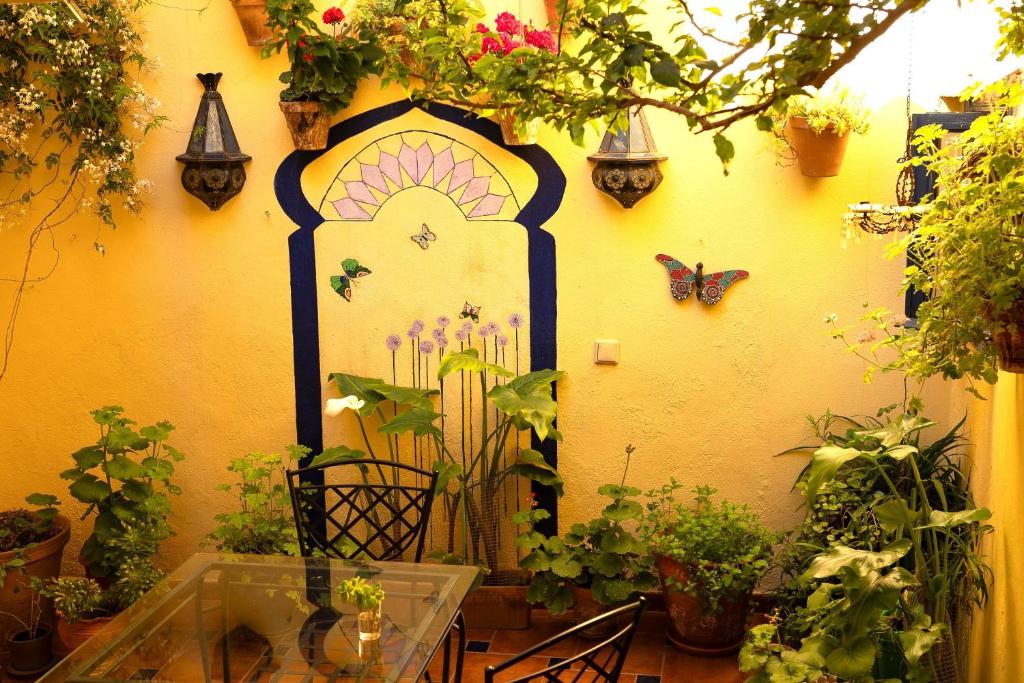 Baraka Boutique Pension
