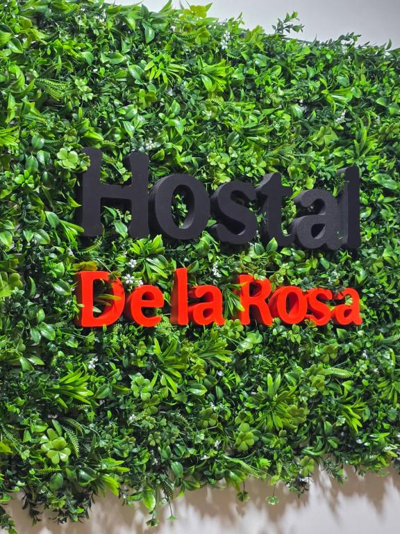 Hostal De la Rosa by Parque Warner Madrid