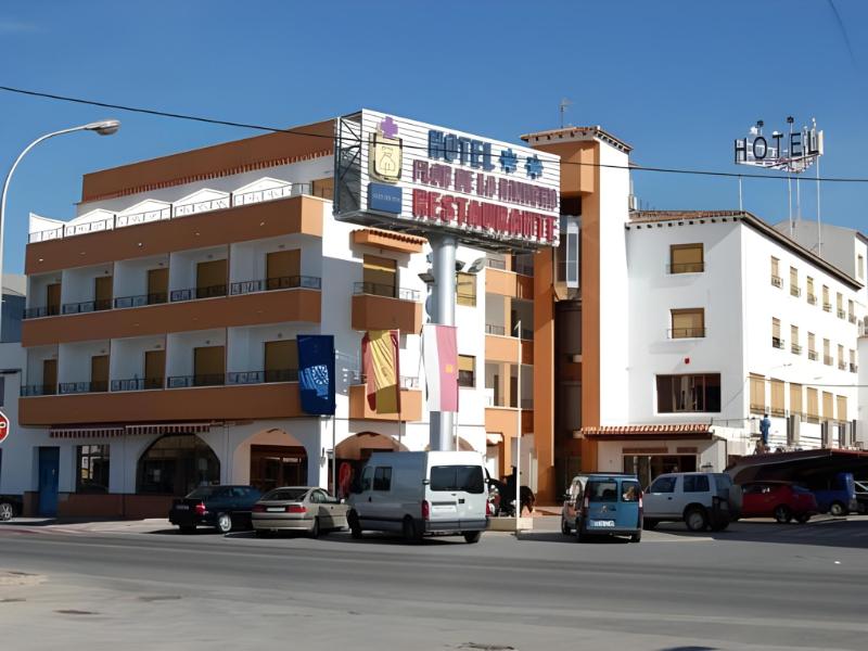 Hotel Flor de la Mancha