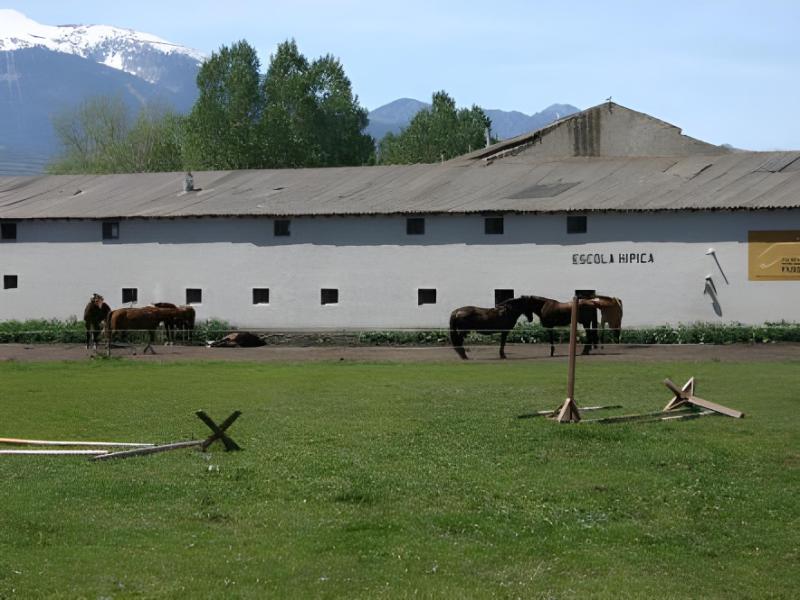 Puigcerda Park Hotel